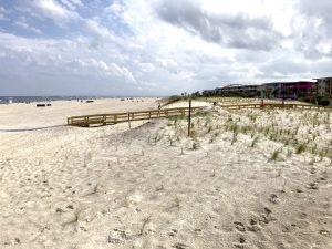 Insights Thomas Hutton